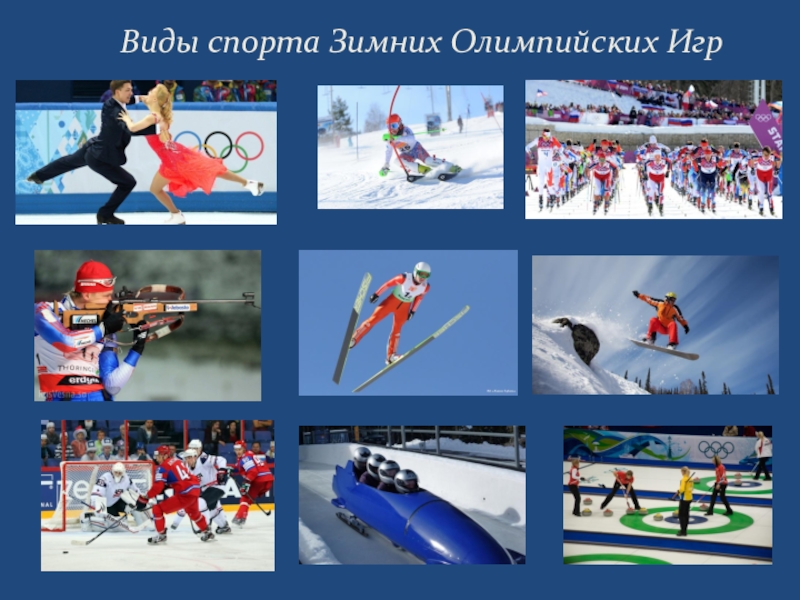 10 самых ярких зимних видов спорта | toppress.kz