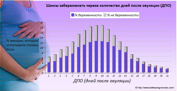 Может ли девственница забеременеть
