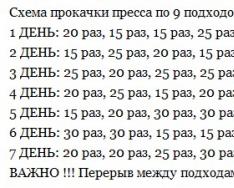 Зожник |   как накачать кубики пресса. 6 фактов