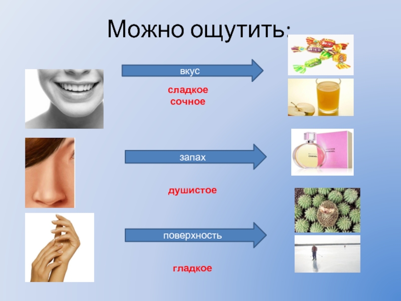 Вирджиния вульф: насколько наши чувства зависят от... | список-цитаты