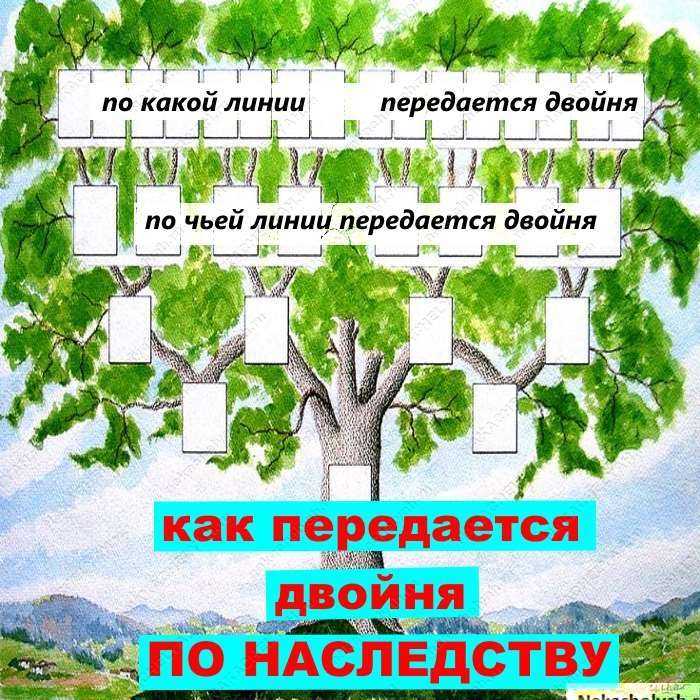 Звезды с пластикой и без нее в одном и том же возрасте