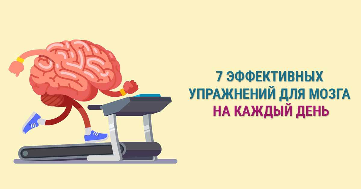 Запоминаем большие объёмы информации | сила лиса
