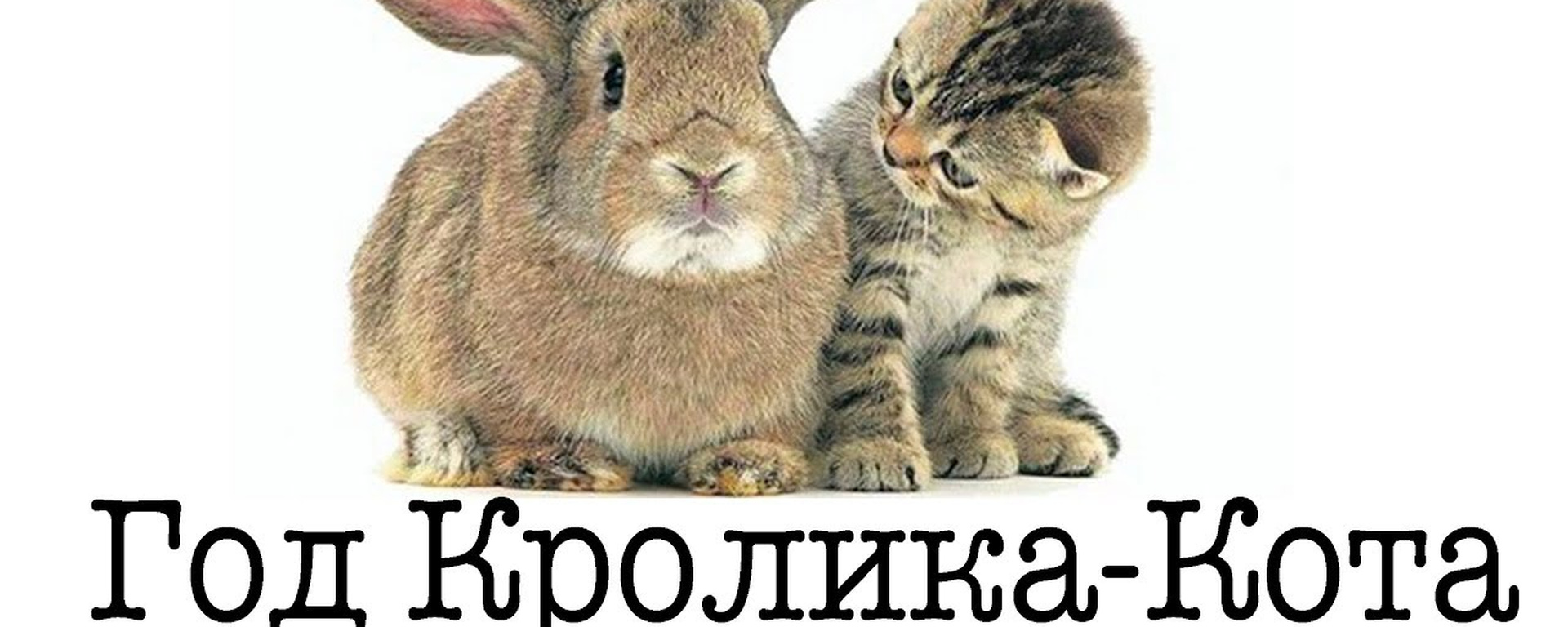 Год черного водяного кролика(кот/зайц) по восточному календарю
