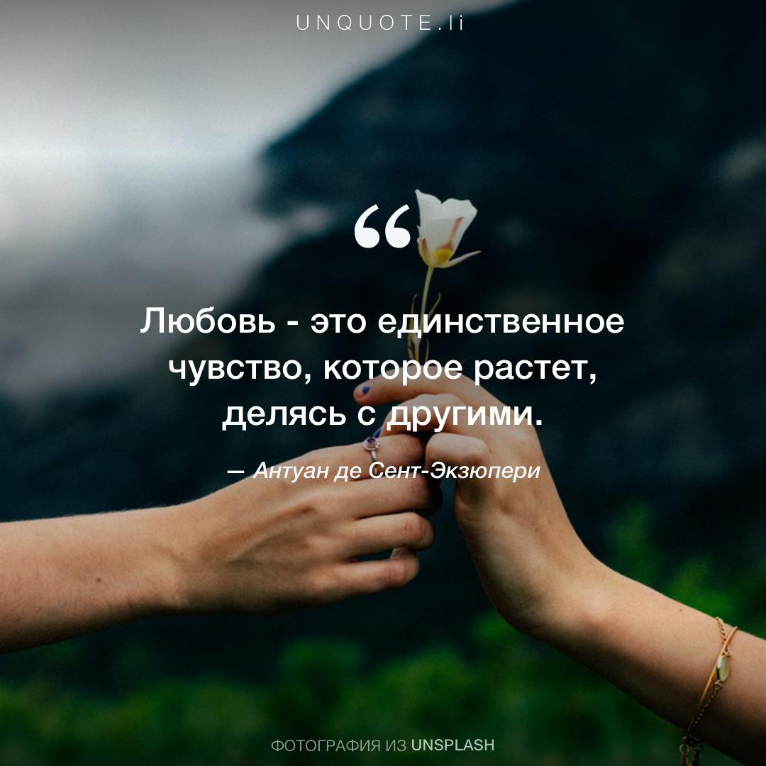Лучшие цитаты про любовь со смыслом