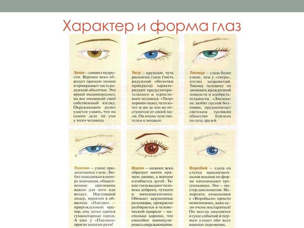 Как определить характер по чертам лица. физиогномика с картинками