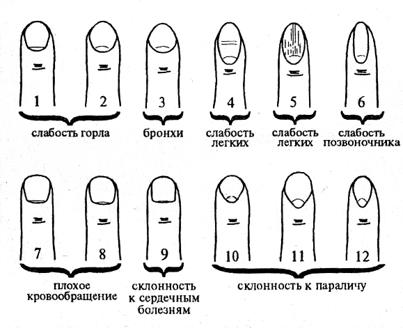 Любимая и незабываемая вероника тушнова. стихи о любви