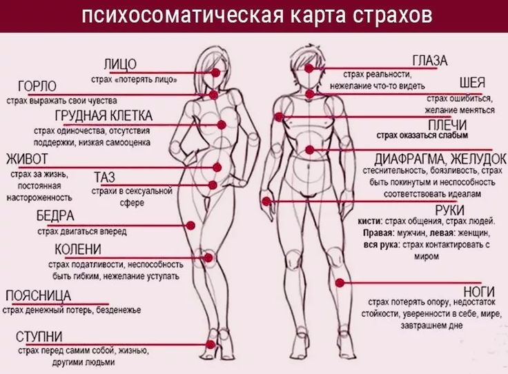Названия чувствительных мужских эрогенных зон и как их найти на теле (с фото)