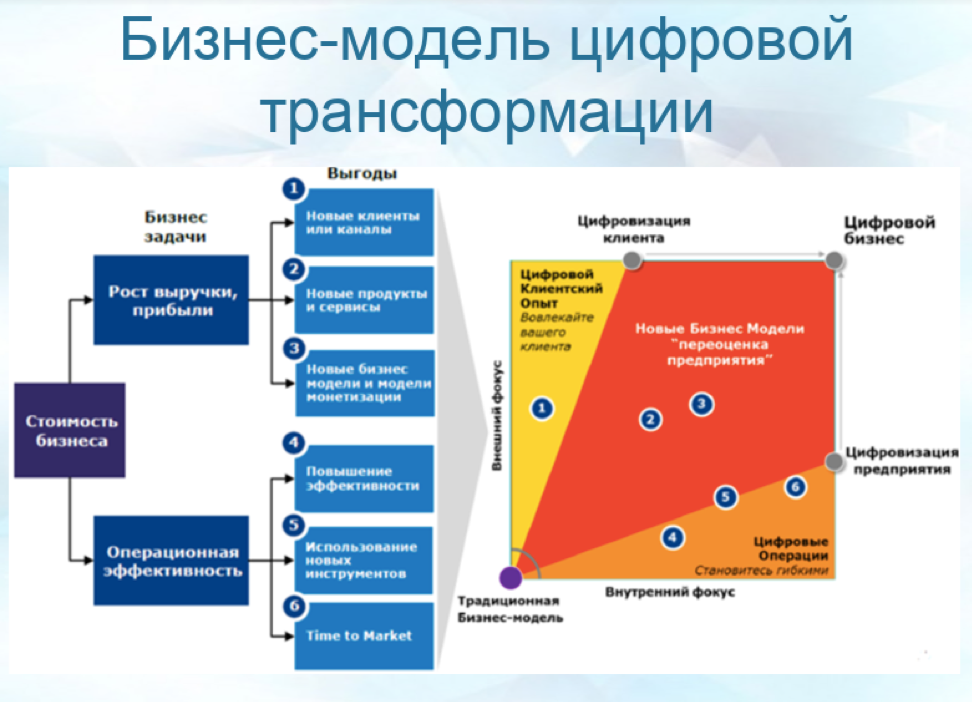 Генеральный директор Х-Fit Ирина Туманова рассказала о бизнесе и красоте