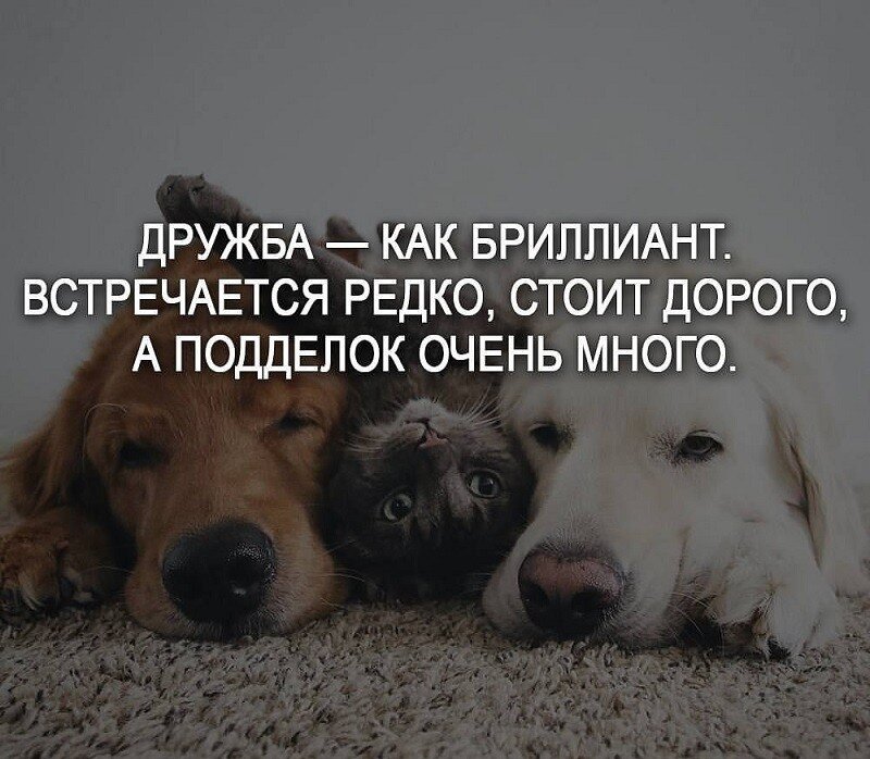«токсичная» дружба: что делать?
