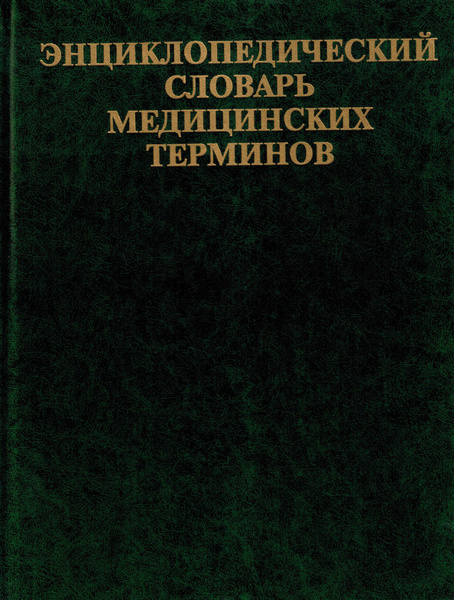 Список основных медицинских терминов: 100 медицинских терминов, которые нужно знать