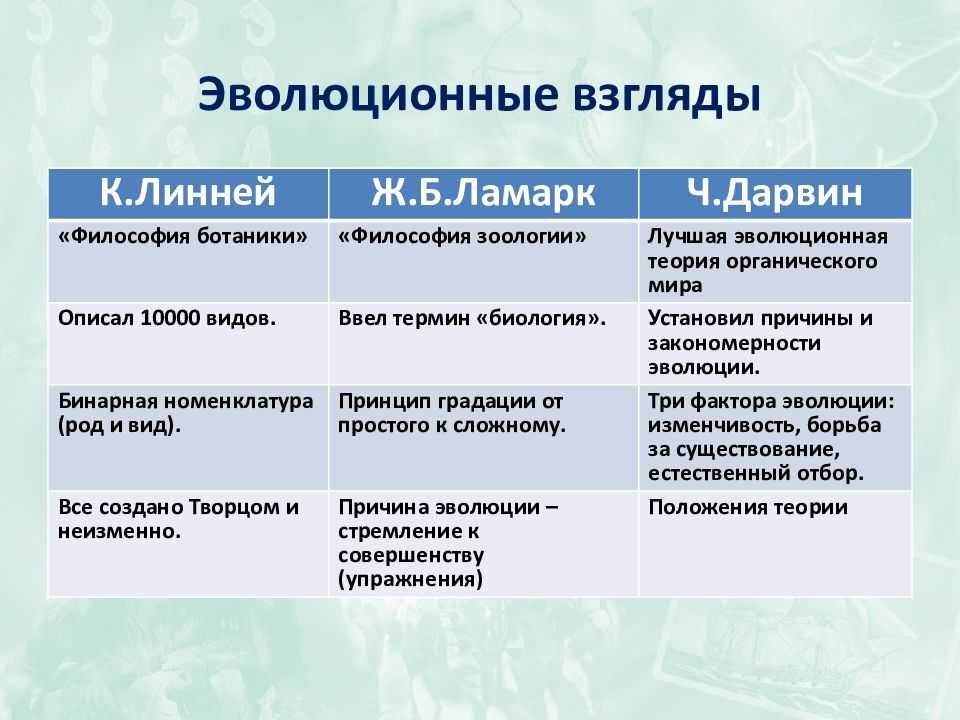 Мы такие разные но все таки мы вместе цитаты