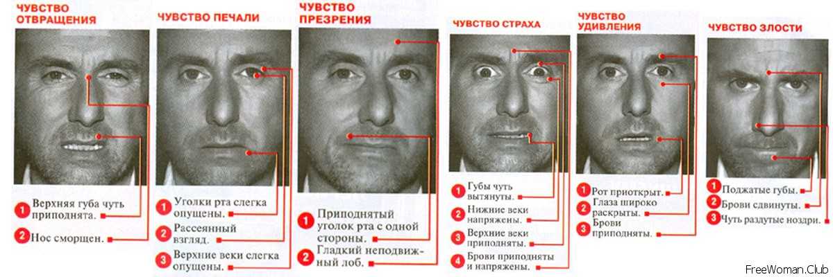Как узнать врет человек или нет