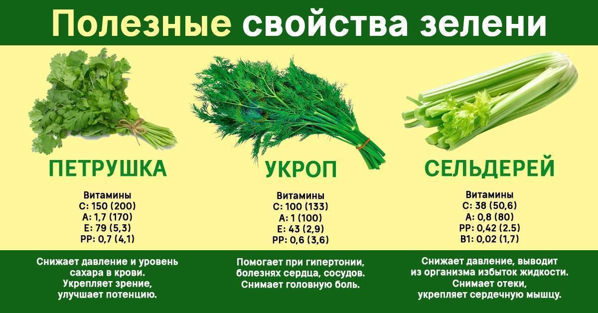 Кухонные лайфхаки: как сохранить фрукты и овощи свежими | flytothesky.ru