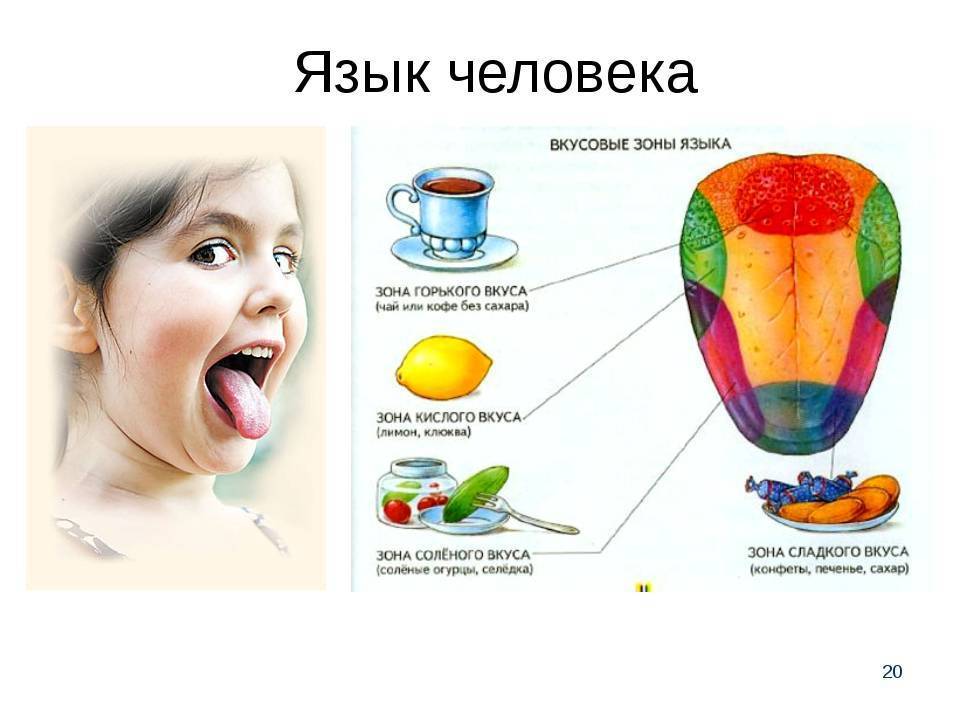 Чего больше в любви: чувства или разума? | асхаб бовкаев