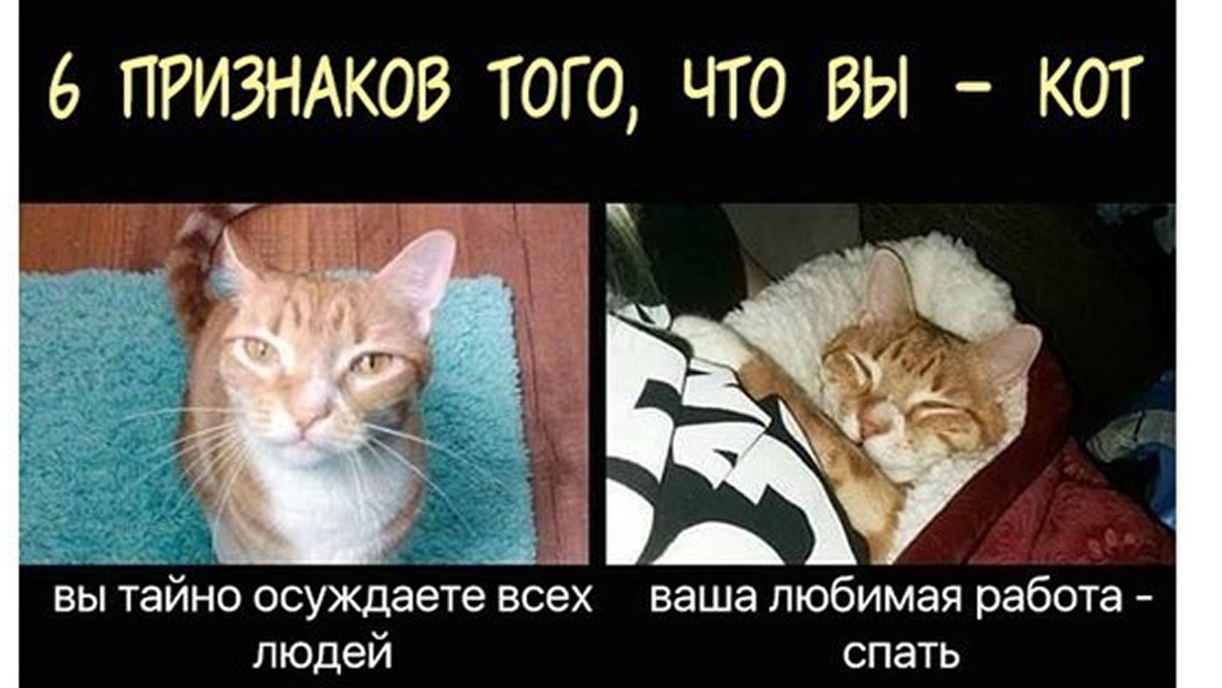 Личность enfp (борец) | 16personalities
