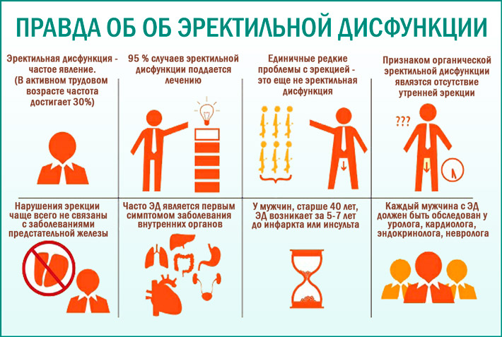 Утренняя эрекция - механизм возникновения, причины отсутствия и методы лечения