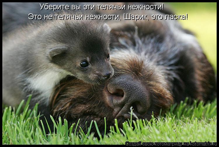 4 вещи, которые мужчины хотят получать от женщины в отношениях