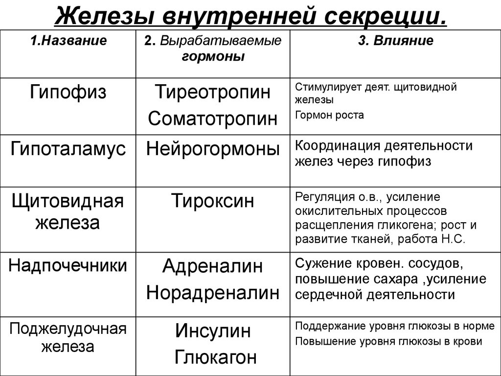 Кинобот: