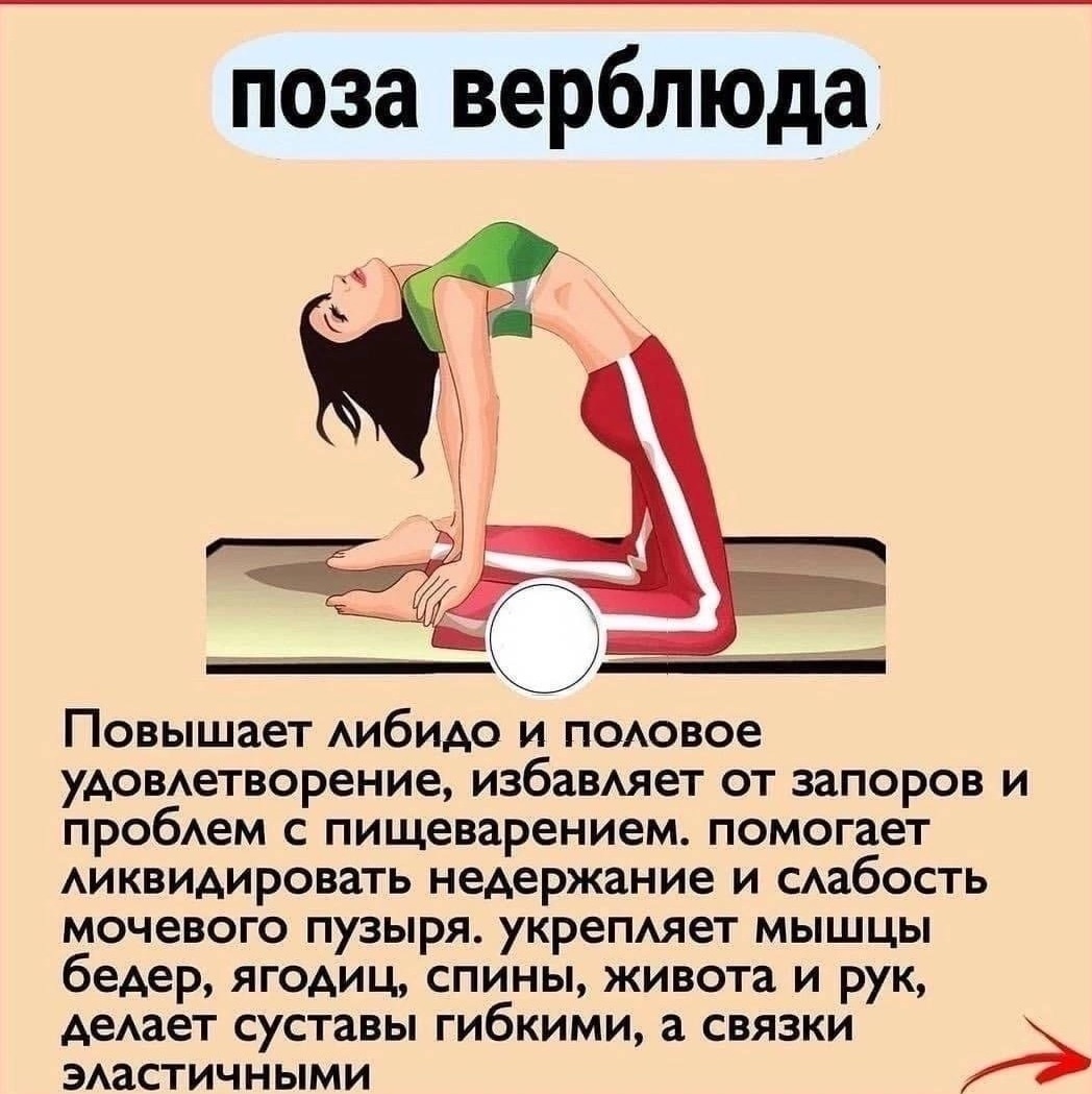 10 вариантов позы сзади в сексе и ее секреты