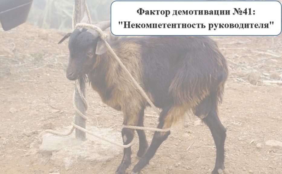 Почему вас не повышают — work.ua