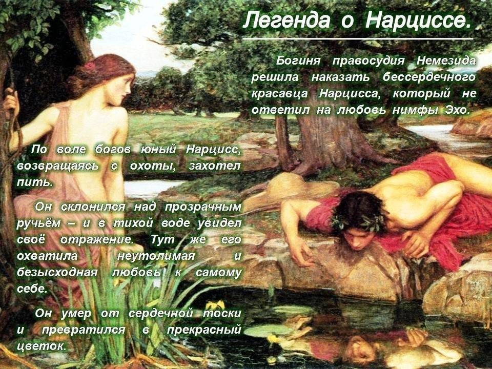 Отношения с нарциссом