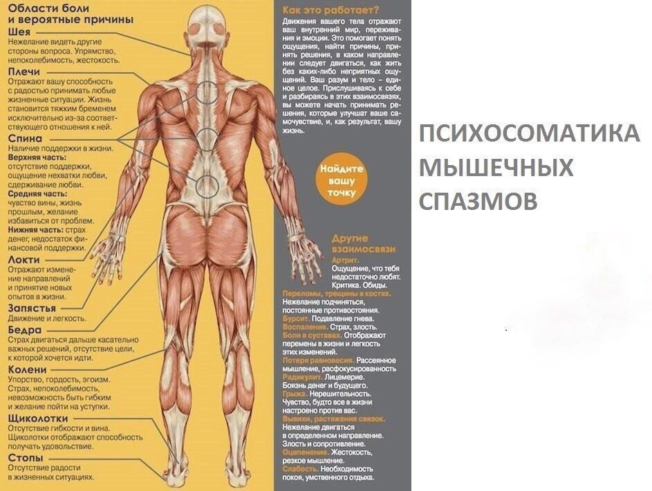 Мультиоргазм (многократный оргазм) женщины – что? как? почему?