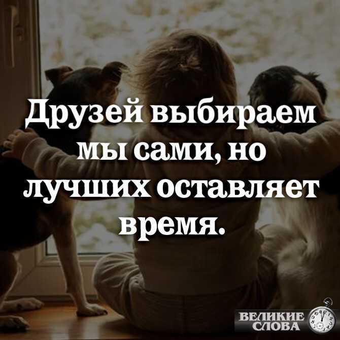 10 признаков плохой подруги, от дружбы с которой только вред