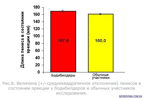 Виды мужских половых органов какие бывают члены? что нравится женщинам и можно ли изменить параметры пениса?