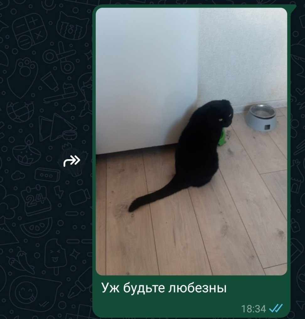 Что написать в анкете девушке на сайте знакомств: примеры