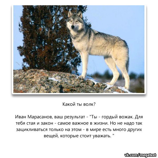 Роковые ошибки в начале отношений