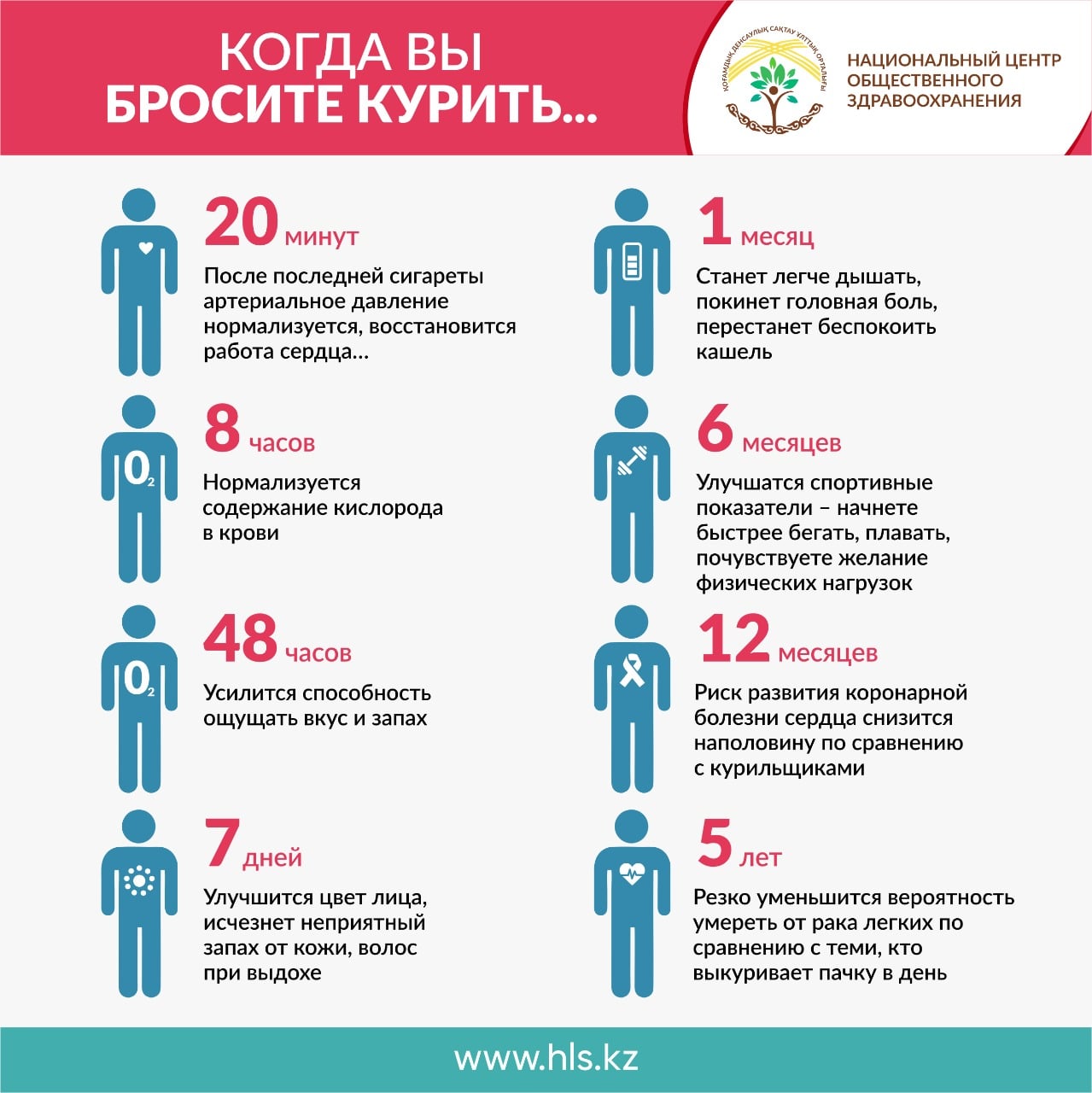 Как очищается организм после отказа от курения