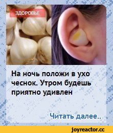 Сосать чеснок по утрам. что будет, если сосать дольку чеснока.