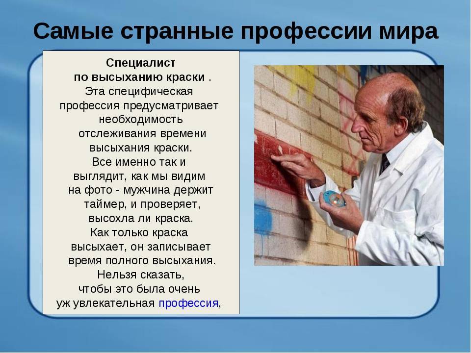 Самые странные и смешные профессии в мире