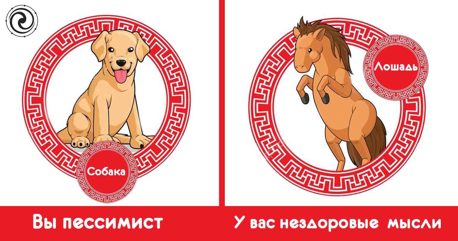 Собака спит с хозяином в одной постели: что это значит