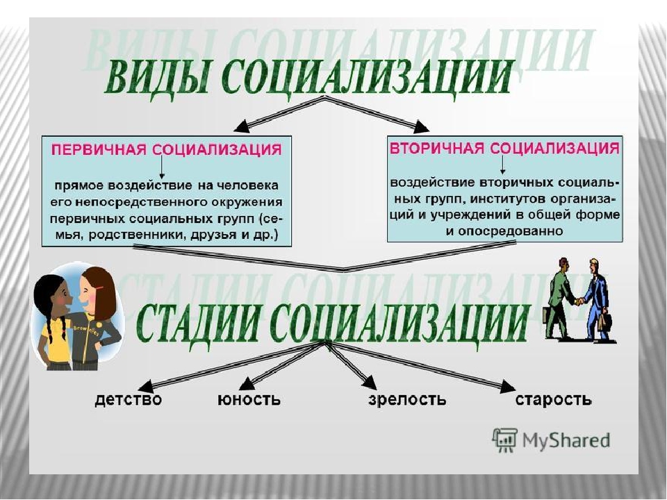 Социальный статус - понятие, статусные права и обязанности индивидов