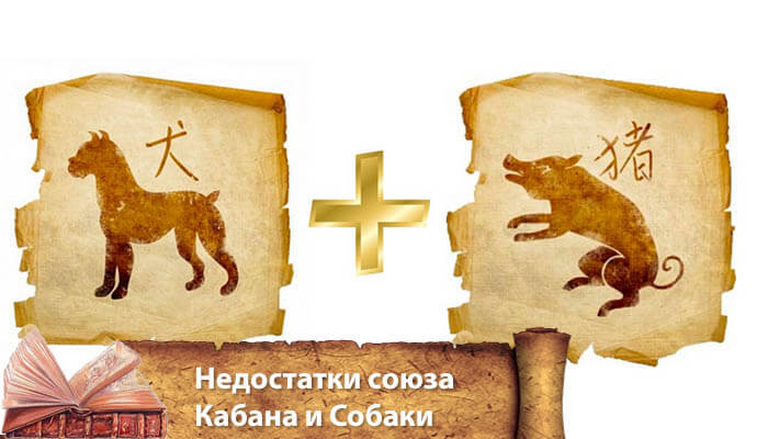 Идеальный партнер. как меняется человек, когда у него появляется собака?