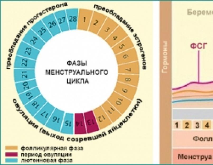 Перед месячными не хочется близости почему