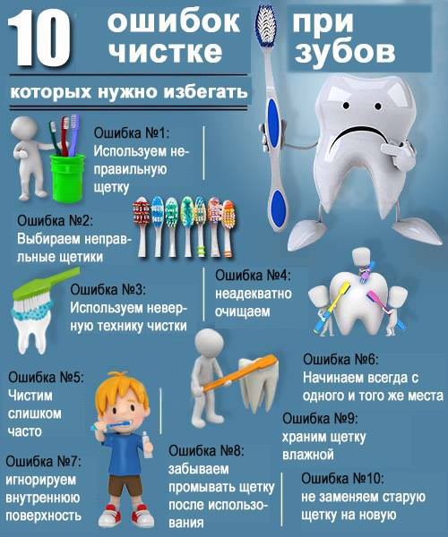 Интересные факты о зубах