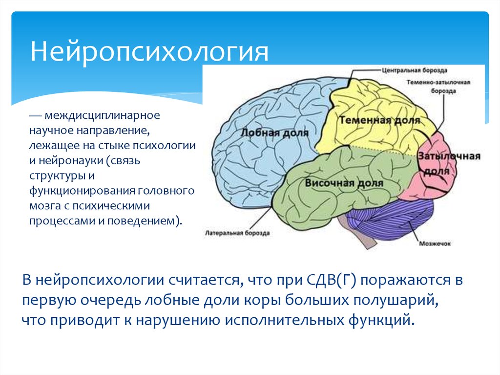 Восемь реальных историй, как английский изменил жизнь студента, врача, блогера - skyeng magazine