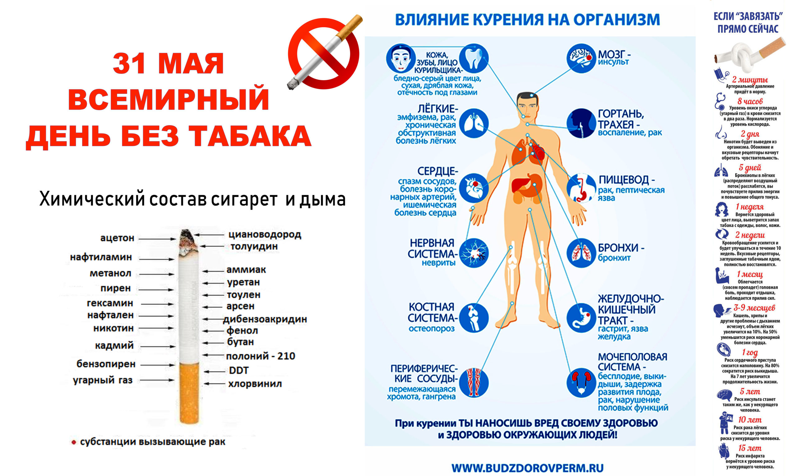Сексуальное воздержание – польза или вред, влияние на женщин и мужчин