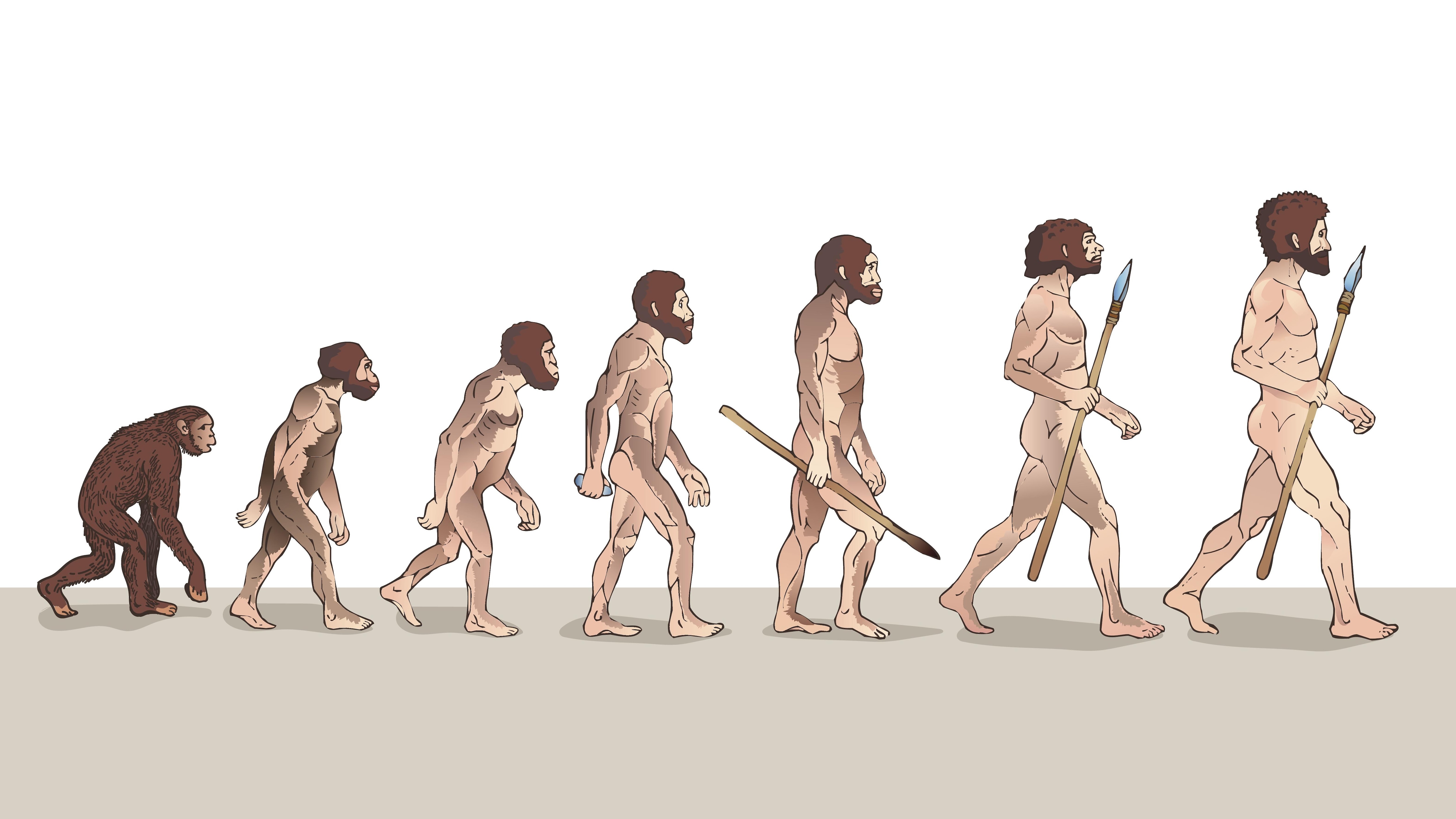 7.2.1. монорегиональная гипотеза формирования вида homo sapiens исключительно в африке и его заместительного распространения на другие континенты. распространненость жизни и уникальность разума? [litres]