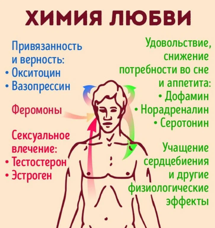 Почему он мне нравится? 18 причин, почему вам действительно нравится парень, который вам нравится