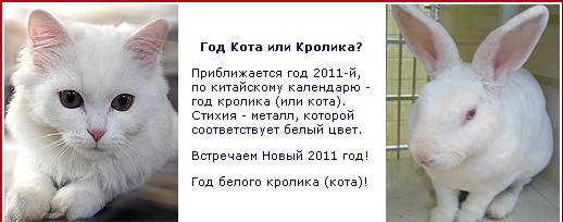 3 февраля по Восточному календарю наступит год белого металлического Кролика Узнай, что тебя ждет