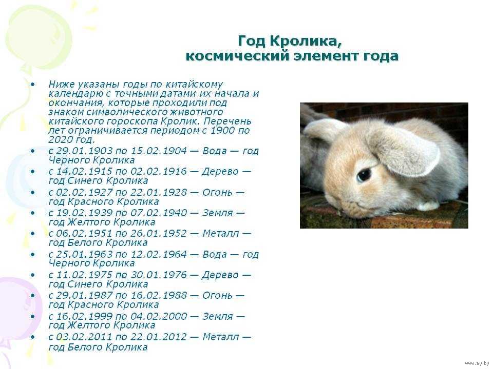 Год знака кролик в восточном календаре и его характеристика