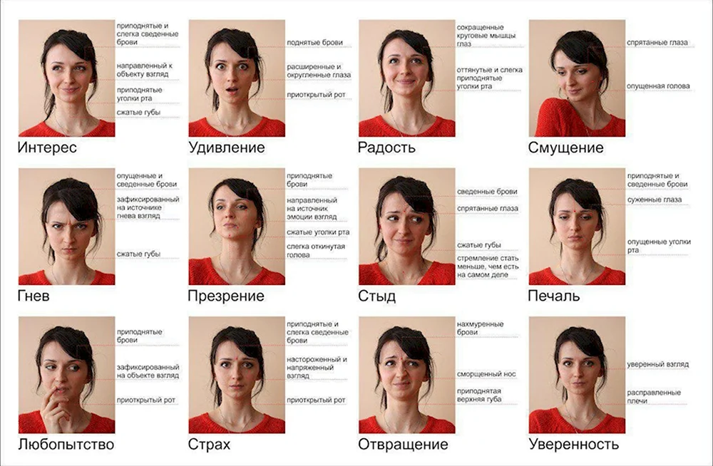 Глава 7 эмоции