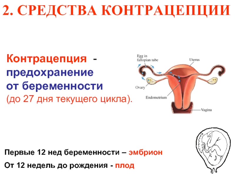 Средства и методы контрацепции или как защититься от нежелательной беременности