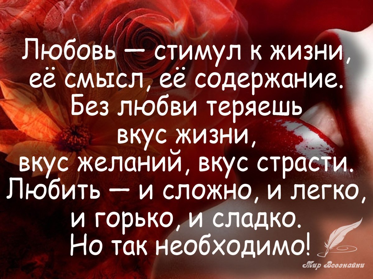 Лучшие высказывания о любви - цитаты писателей, звезд, знаменитостей