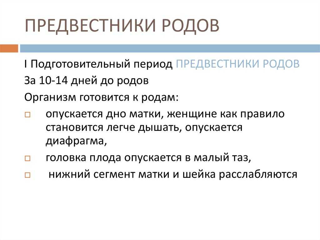 Первая беременность: что надо знать и делать каждой будущей маме с самого начала?