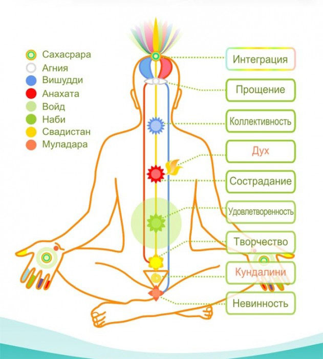 Комплекс упражнений для раскрытия грудного отдела