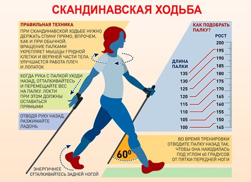 Скандинавская ходьба: пошаговая техника для начинающих